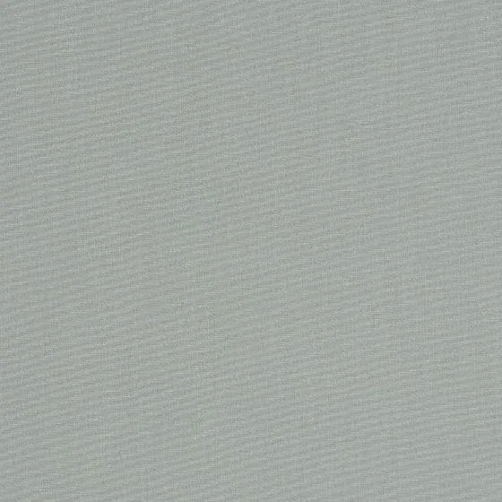 Dickson Orchestra Argent 7552